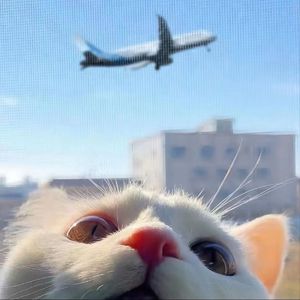 男人和女人日皮做爱男人爬女人身上舔皮图片视频
